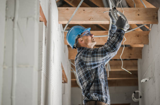 Best Residential Electrician Services  in Caro, MI