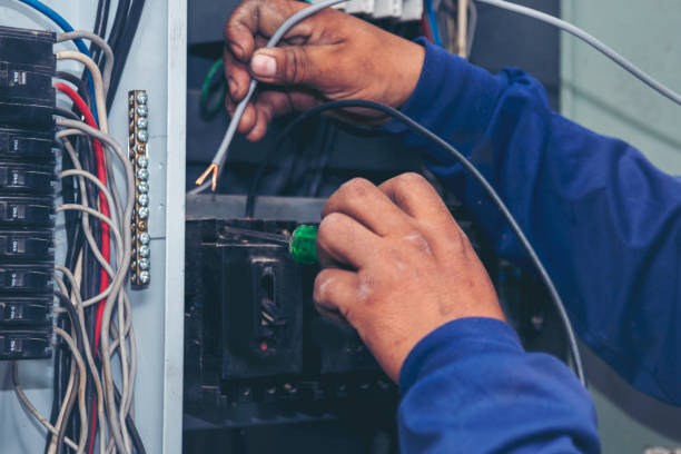 Best Electrical Repair Services  in Caro, MI